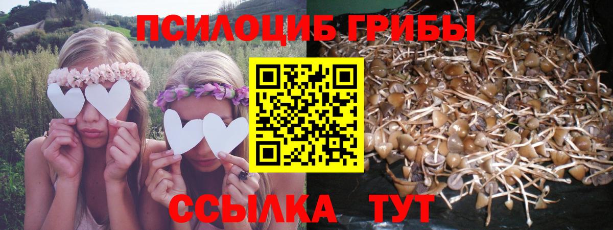 Галлюциногенные грибы Magic Shrooms Кашира