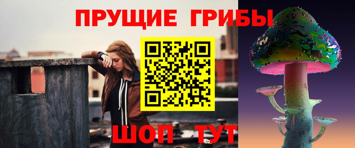 Галлюциногенные грибы Psilocybe  Вход с VPN  Кашира 