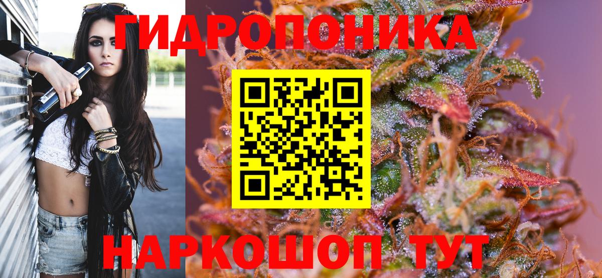 Шишки марихуана SATIVA & INDICA  Вход с VPN  Кашира  Бошки Шишки гибрид 